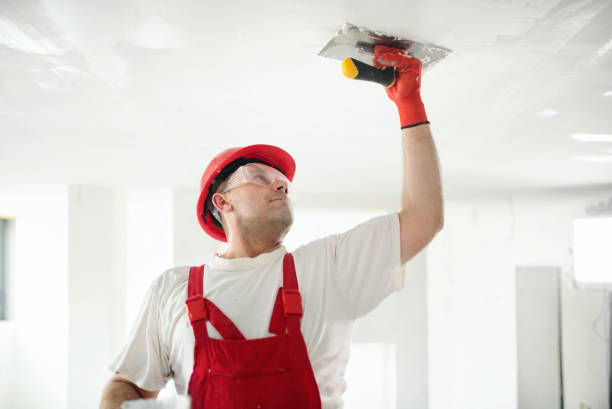 Best Drywall Crack Repair  in Grayling, MI