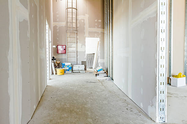 Best Drywall Sanding and Smoothing  in Grayling, MI